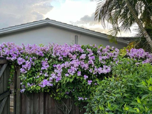 4201 Fillmore Street, Hollywood, FL 33021