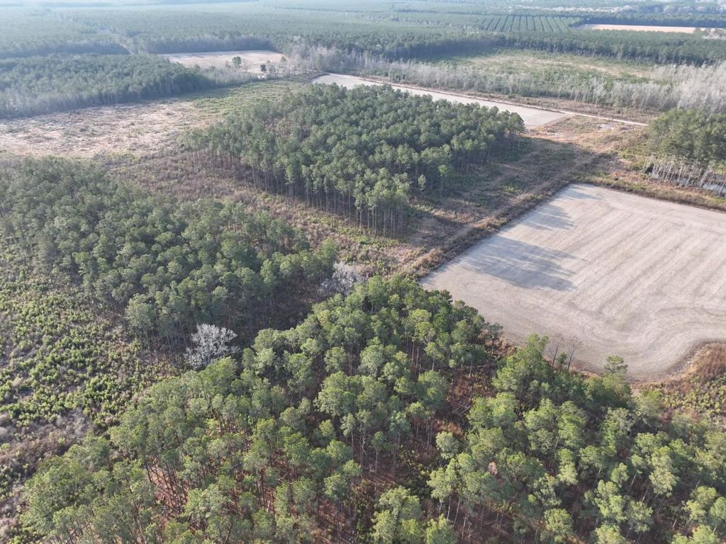 TBD Hwy 9, Marion, SC 29571 — exterior