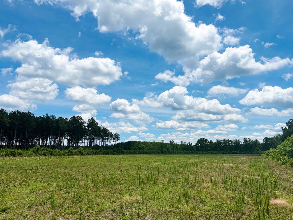 TBD Hwy 9, Marion, SC 29571 — photo 3