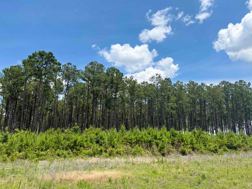 TBD Hwy 9, Marion, SC 29571 — photo 4