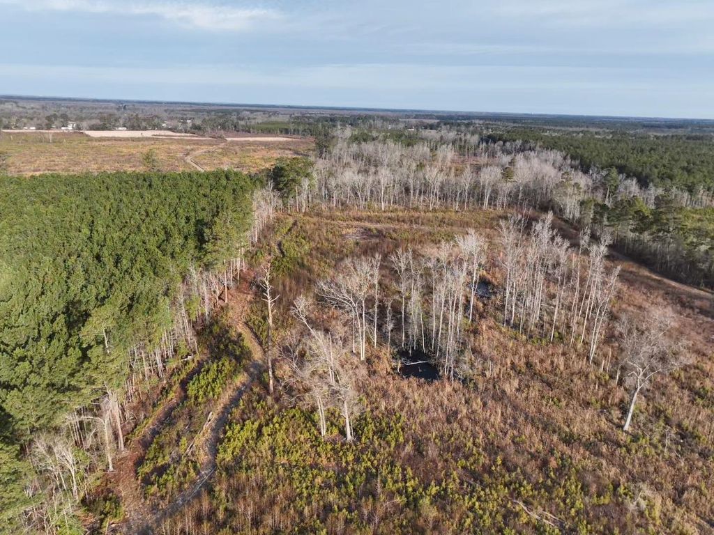 TBD Hwy 9, Marion, SC 29571 — photo 5