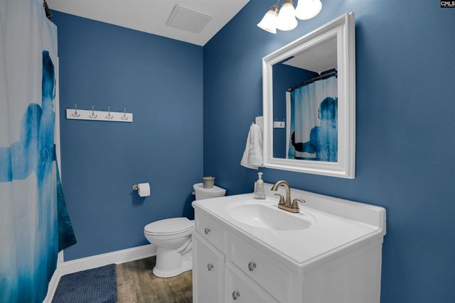 1116 Silver Point Road, Chapin, SC 29036