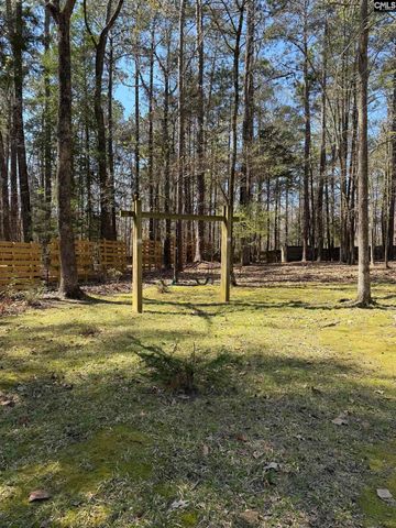 1116 Silver Point Road, Chapin, SC 29036