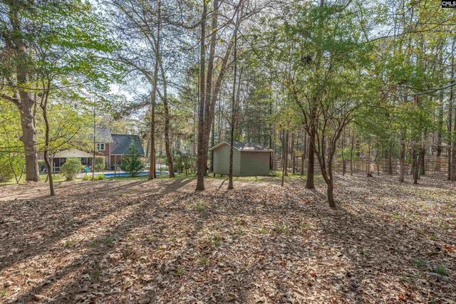 1116 Silver Point Road, Chapin, SC 29036