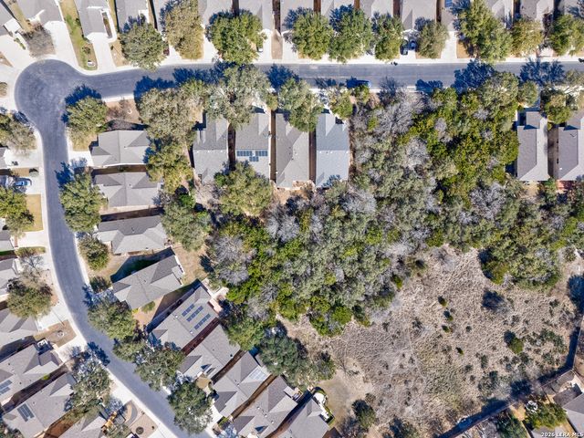 12606 Desert Palm, San Antonio, TX 78253