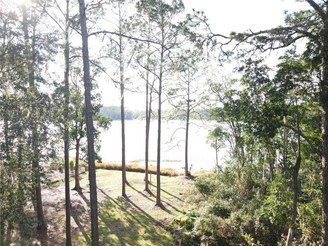 161 RILEY LAKE DRIVE, Hawthorne, FL 32640