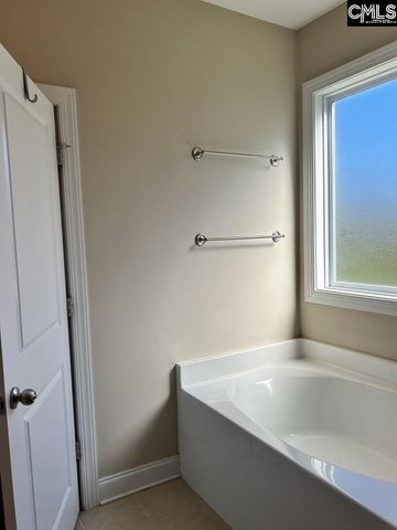 60 Fork Branch Court, Irmo, SC 29063