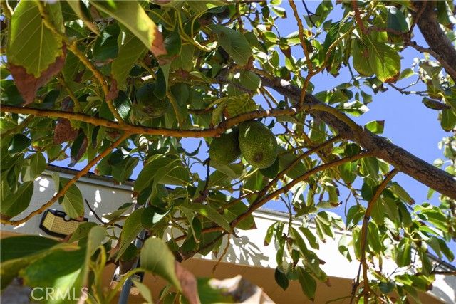 44607 Springwood, Hemet, CA 92544