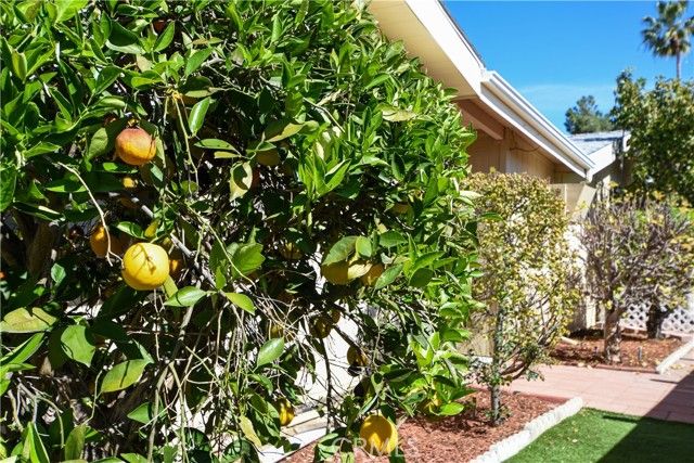 44607 Springwood, Hemet, CA 92544