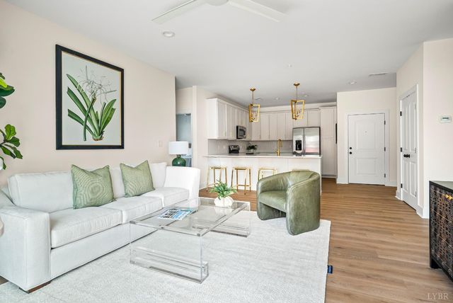 420 Capstone Drive 205, Lynchburg, VA 24502