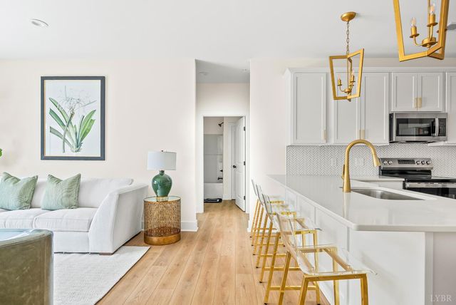 420 Capstone Drive 205, Lynchburg, VA 24502