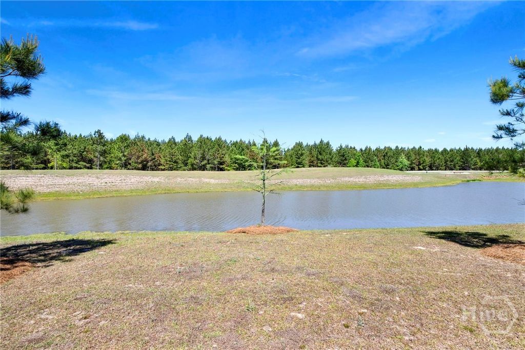 Image 34 of property listing at 815 Longleaf Drive, Richmond Hill, GA 31324