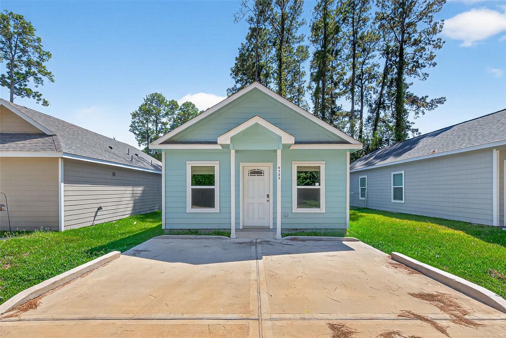 9755 Black Gum, Willis, TX 77318