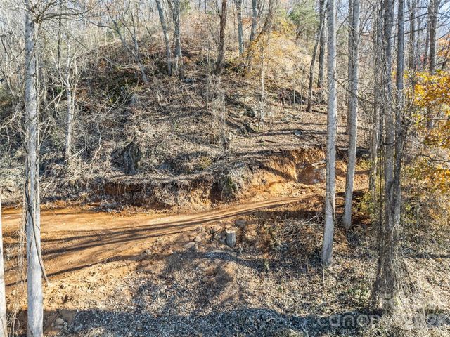 Tract 3: Lot 4 White Birch Drive, Sylva, NC 28779