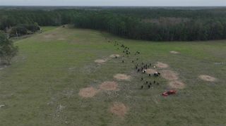 BERRY GROVES RD DRIVE, Clermont, FL 34714