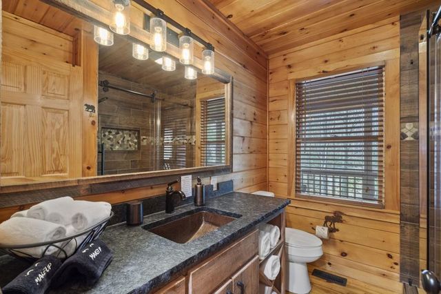 77 Old Covered Bridge Road, Cherry Log, GA 30522