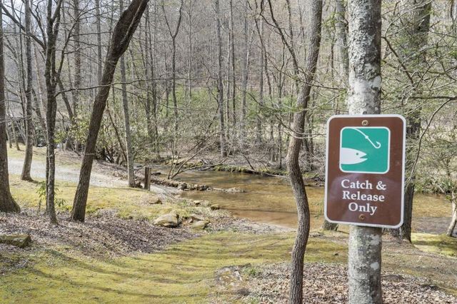 77 Old Covered Bridge Road, Cherry Log, GA 30522