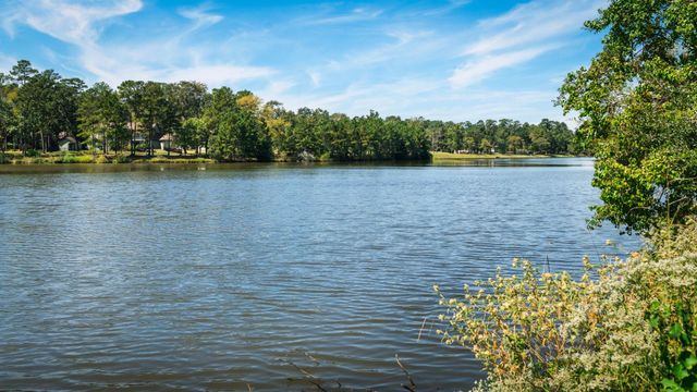 9902 Crestwater Circle, Magnolia, TX 77354