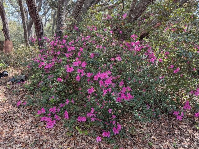 2933 E Quail Court, Inverness, FL 34452