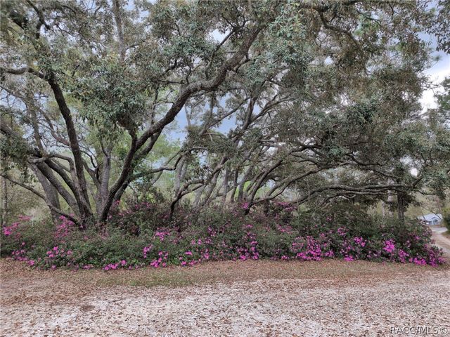 2933 E Quail Court, Inverness, FL 34452