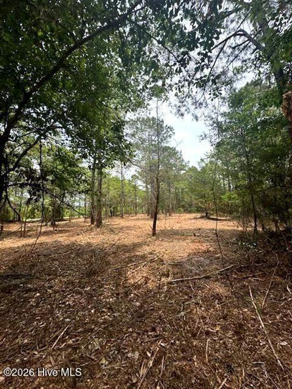 2913 James Street SW, Supply, NC 28462