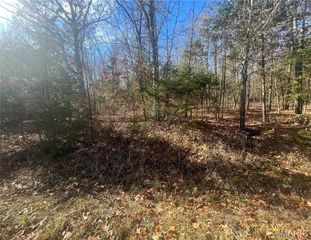 0 Mimeaux Court, Bonne Terre, MO 63628