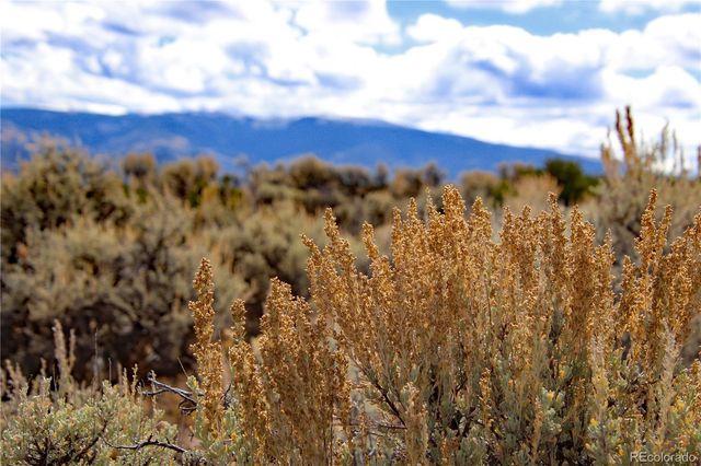 0 Wild Horse Drive, San Luis, CO 81152