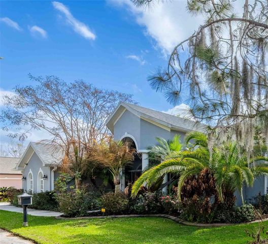 6716 MAGNOLIA POINT DRIVE, Land O Lakes, FL 34637