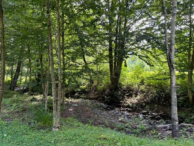 33 Williams Lane, Wolcott, VT 05680