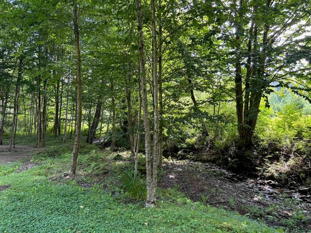 33 Williams Lane, Wolcott, VT 05680