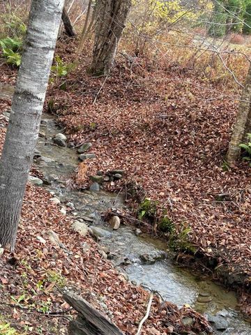 33 Williams Lane, Wolcott, VT 05680