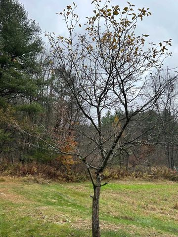 33 Williams Lane, Wolcott, VT 05680