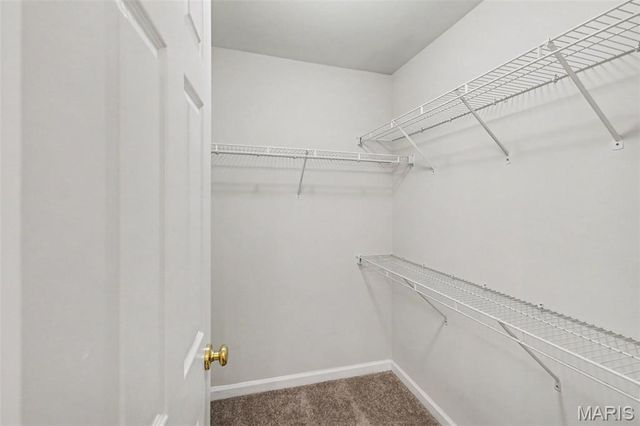 1141 Arbor Creek Drive 3B, St Louis, MO 63122