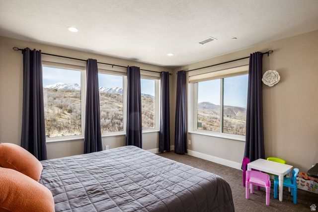 806 S SUMMIT CREEK DR, Woodland Hills, UT 84653