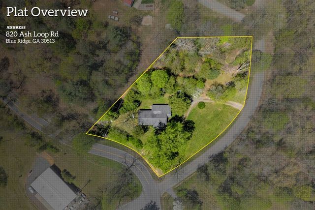 820 Ash Loop Road, Blue Ridge, GA 30513