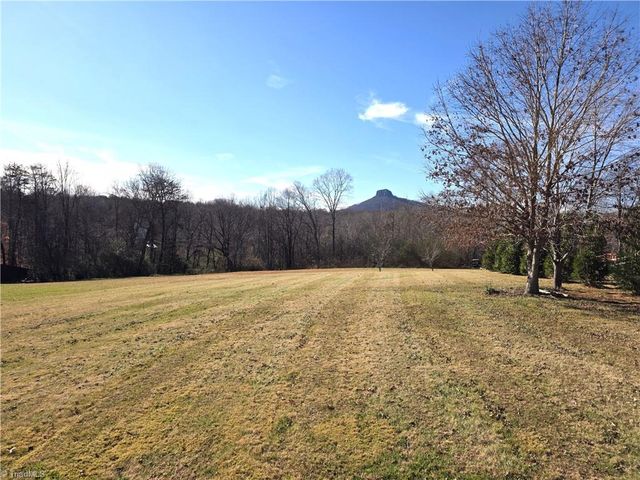 1545 Bradley Road, Pinnacle, NC 27043