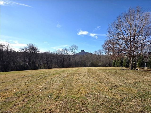 1545 Bradley Road, Pinnacle, NC 27043