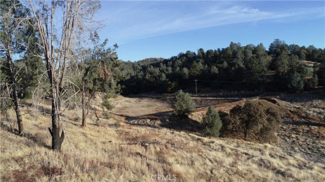 21 Bumguardner Mountain, Mariposa, CA 95338