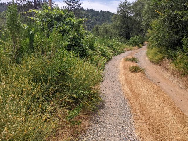 10180 Rock Creek Rd, Placerville, CA 95667