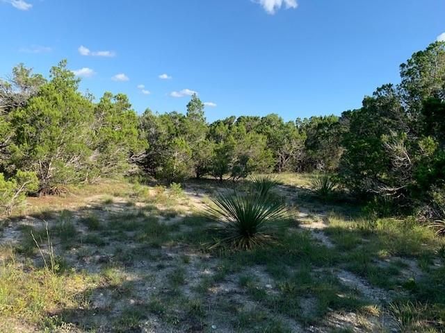 608 Gallagher Drive, Canyon Lake, TX 78133