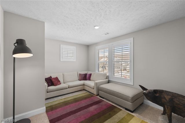 168 Lake Balaton Drive, Orange, OH 44128