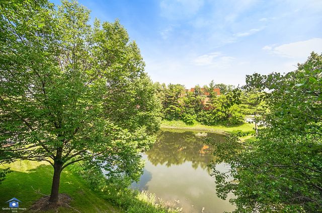 480 E Montrose Avenue 203, Wood Dale, IL 60191