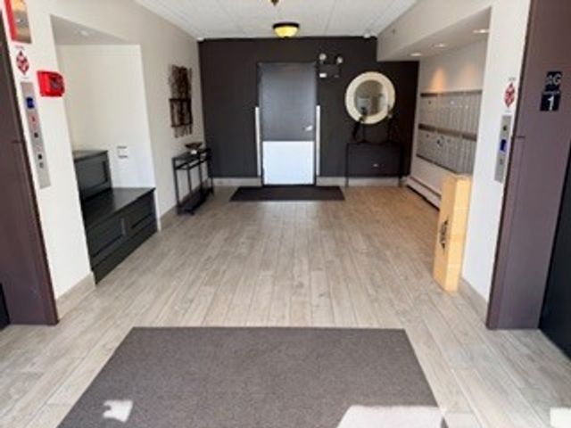 480 E Montrose Avenue 203, Wood Dale, IL 60191