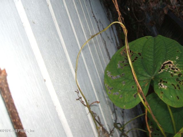 2325 BETHUNE Avenue, Jacksonville, FL 32207