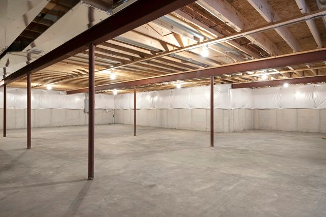 25905 W Winding Hollow Drive, Channahon, IL 60410