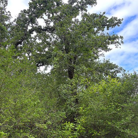 TBD Pr 4045, Centerville, TX 75833