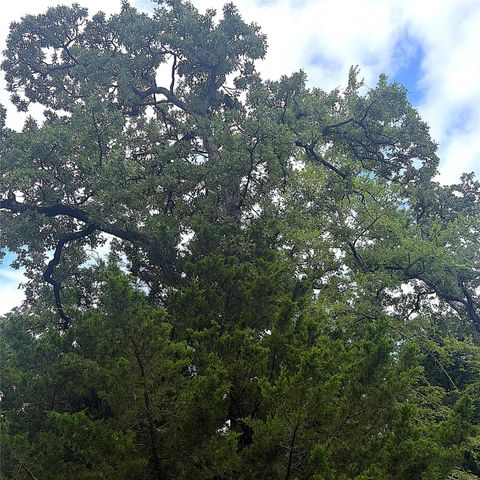 TBD Pr 4045, Centerville, TX 75833