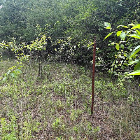 TBD Pr 4045, Centerville, TX 75833