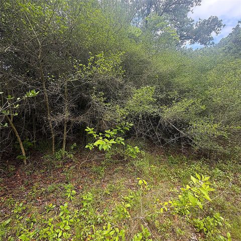 TBD Pr 4045, Centerville, TX 75833