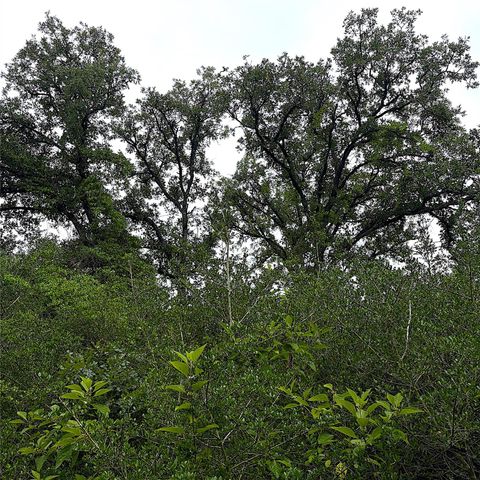 TBD Pr 4045, Centerville, TX 75833